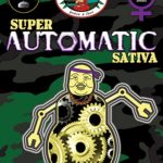 big-buddha-buddha-haze-automatic-aka-super-automatic-sativa-s.a.s.-feminised-autoflowering-cannabis-seeds.jpg