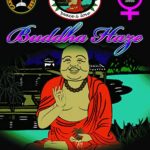 big-buddha-buddha-haze-feminised-cannabis-seeds.jpg
