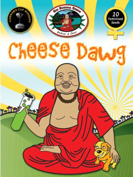 big-buddha-cheese-dawg-feminised-cannabis-seeds-3.jpg