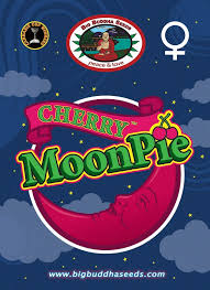 big-buddha-seeds-cherry-moon-pie-feminised-cannabis-seeds-3.jpeg