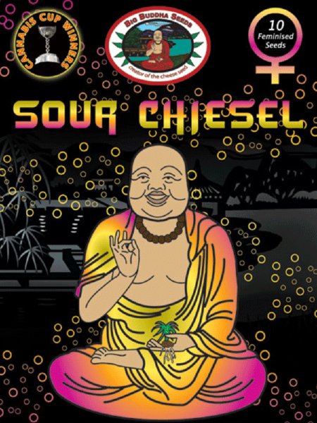 big-buddha-sour-chiesel-feminised-cannabis-seeds-3.jpg