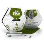 blueberry-autoflowering.jpg
