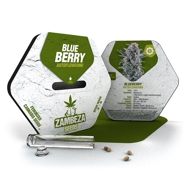 blueberry-autoflowering-1.jpg