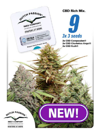 Dutch Passion - CBD Rich Feminised Mix (9 FEM) (3 CBD Compassion, 3 CBD Charlotte's Angel, 3 CBD Kush)