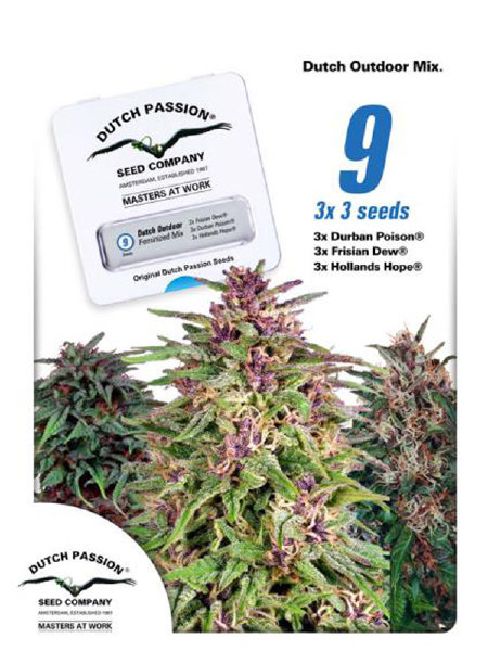 dutch-passion-outdoor-mix-nine-pack-feminised-cannabis-seeds.jpg