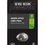 sensi-743-black-domina-cbd-feminized-cannabis-seeds.jpg