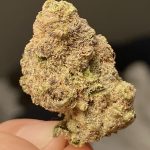 wedding-crasher-feminized-cannabis-seeds.jpg