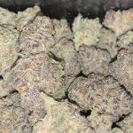 stinky-seeds-white-runtz-feminized-cannabis-seeds.jpeg