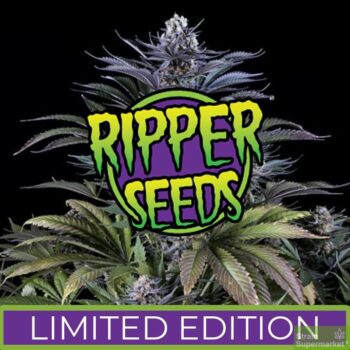 Ripper Seeds - Limited Edition - Gelato Acaiberry x Animal Cookies (3 Fem Pack)