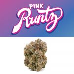 pink-runtz-feminized-cannabis-seeds