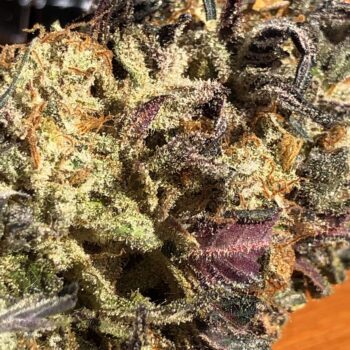 Double Dank - Skywalker Cookies (5f) + Purple Dick (5f)