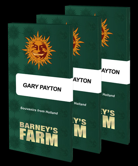 gary-payton-seeds.jpg