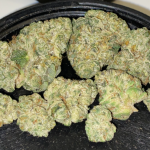 banana-og-feminized-cannabis-seeds2.jpg