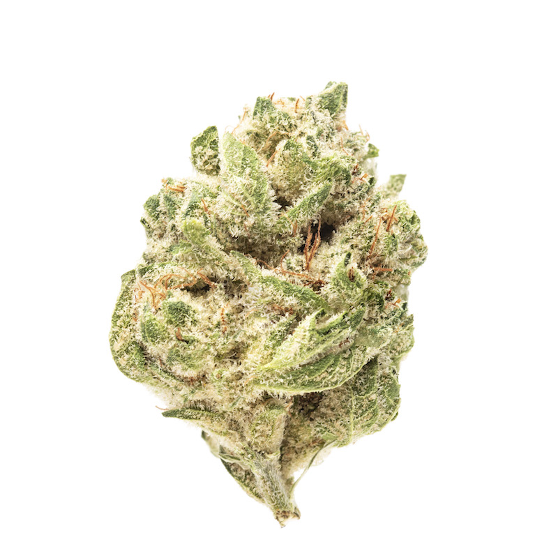 banana-og-feminized-cannabis-seeds3.jpg
