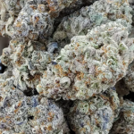 reeze-macflurry-seeds-strain-reeze-mcflurry.png
