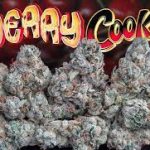 cherry-cookies-feminized-cannabis-seeds.jpeg