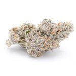 dosidos-feminized-cannabis-seeds.jpg
