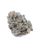 biscotti-feminized-cannabis-seeds3.jpg