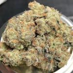 gushers-feminized-cannabis-seeds3.jpg