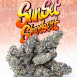 Love Cannabis - Sunset Sherbert - Feminized Cannabis Seeds