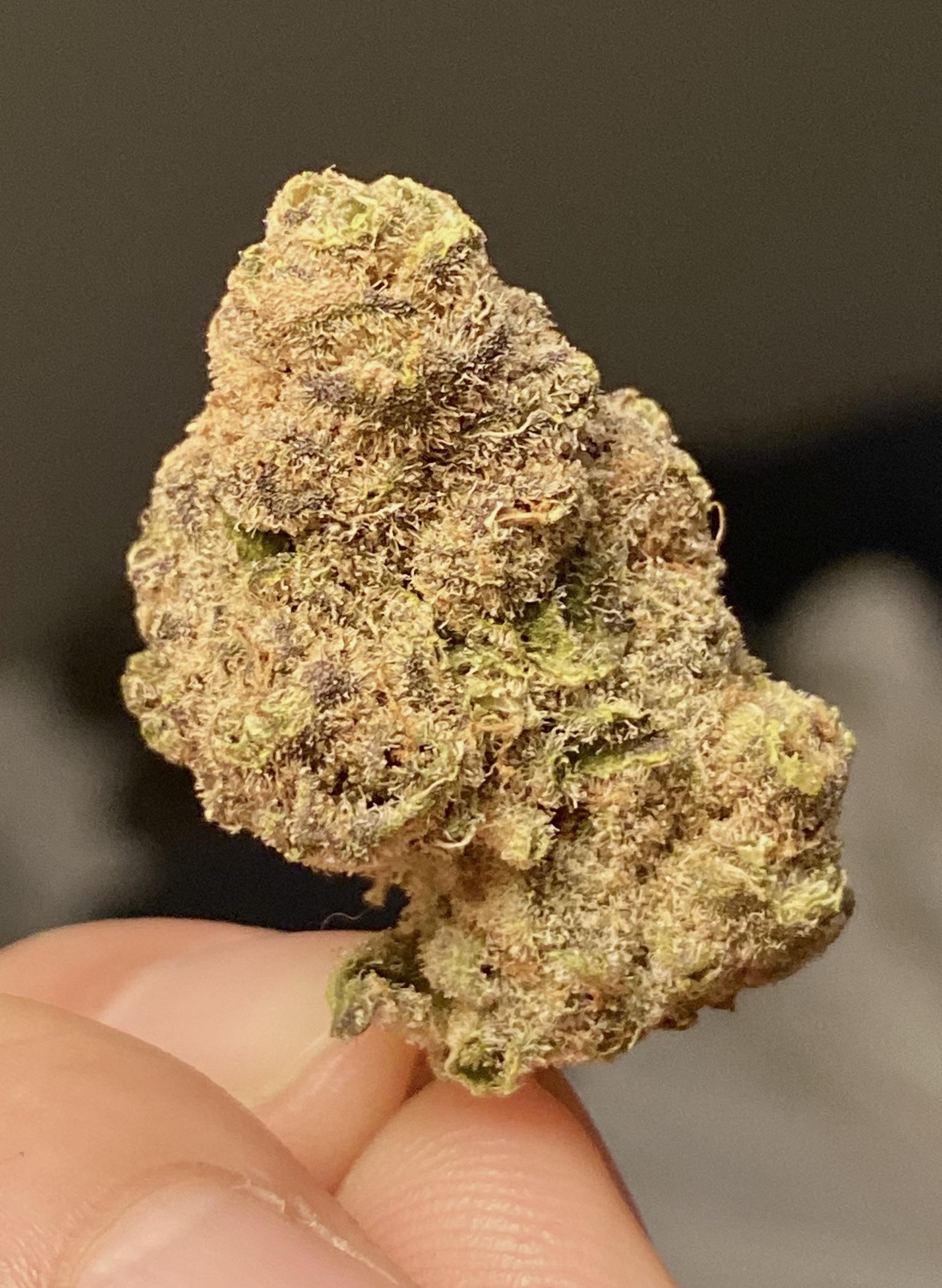 wedding-crasher-feminized-cannabis-seeds2.jpg