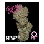 Banana Glue  (Growers Choice Seeds)