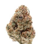 Octane Fire OG Feminised (Growers Choice Seeds)