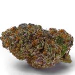 Blue Dream Sherbet Auto (Growers Choice Seeds)