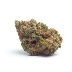Tropicana Weddingcake Auto (Growers Choice Seeds)