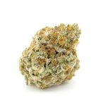 Forbidden Runtz Double XL Auto (Growers Choice Seeds)