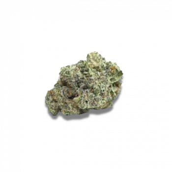 Mac1 Auto (Growers Choice Seeds)