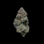 RS11 (Growers Choice Seeds)