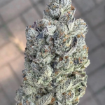 marshmallow-og-compound-genetics-feminized-seeds-compound-seeds.png