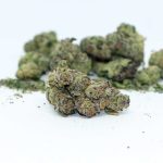 rotten-apple-triploid-seeds-feminized-love-cannabis-2.png