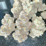 LIMITED EDITION White Truffle (Growers Choice Seeds)
