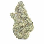 zerberry-triploid-seeds-feminized.png