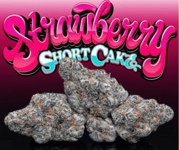 Love Cannabis - Strawberry Shortcake - Feminized Cannabis Seeds