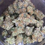 animal-cookies-feminized-cannabis-seeds.jpg