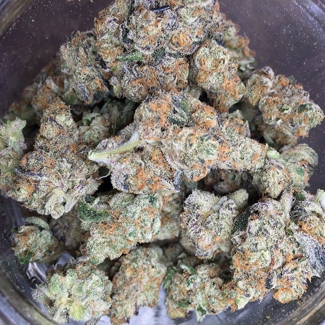 animal-cookies-feminized-cannabis-seeds2.jpg