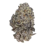 original-oreoz-feminized-cannabis-seeds-by-growerschoice.webp