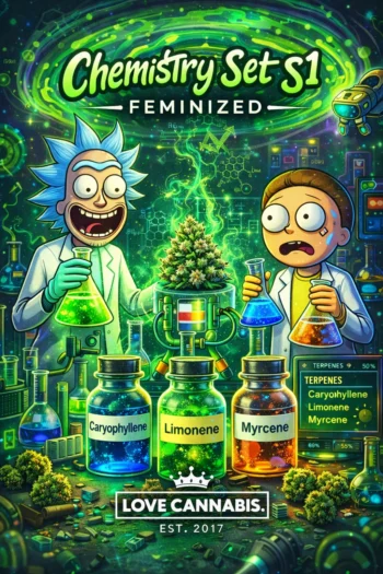 chemistry set s1 strain feminized seeds love cannabis